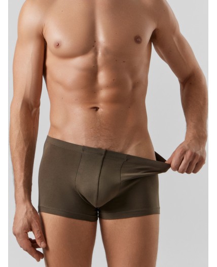 Трусы табак +зеленый Нил