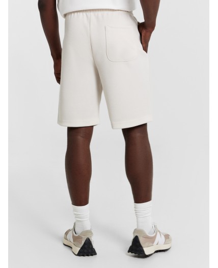 Шорты двухцветный лед