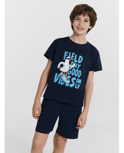 Комплект неви +печать