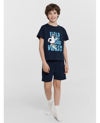 Комплект неви +печать