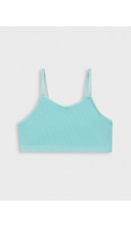 Бюстье небесный