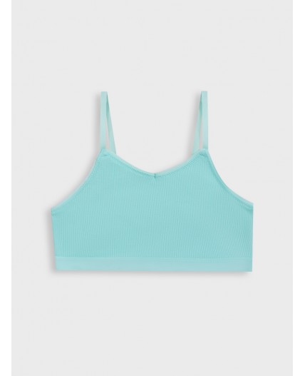 Бюстье небесный