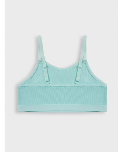 Бюстье небесный