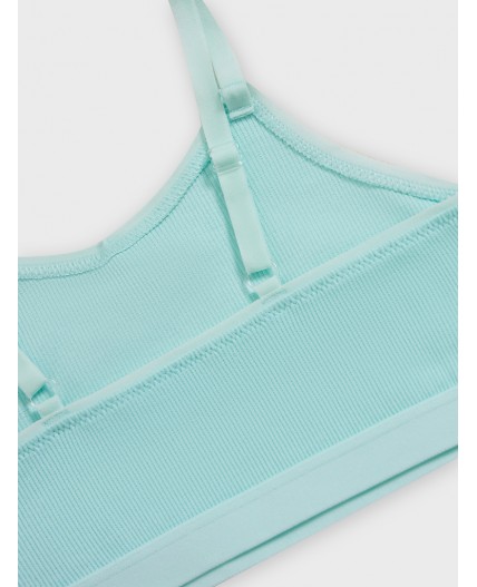 Бюстье небесный