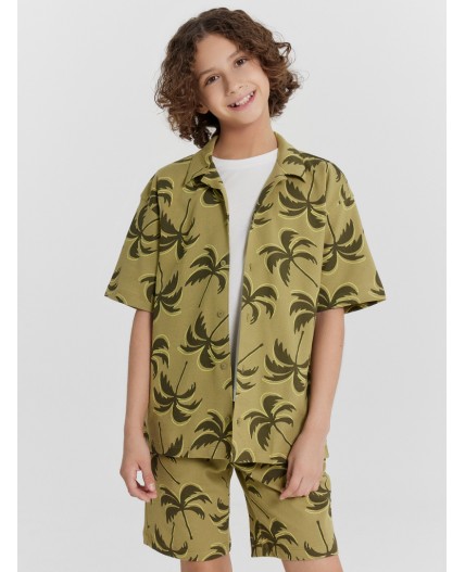 Рубашка пальмы на кедре