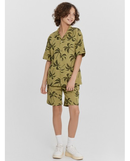 Рубашка пальмы на кедре