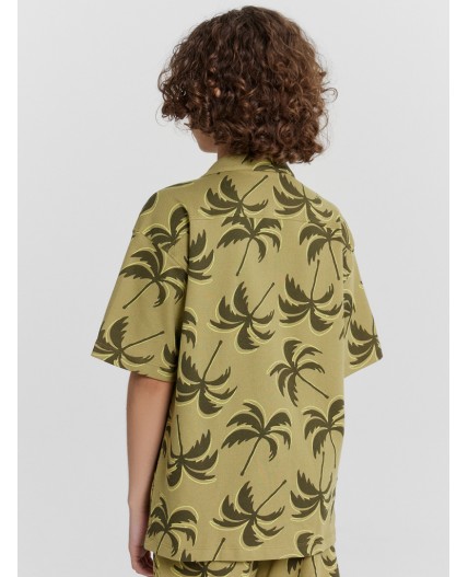 Рубашка пальмы на кедре