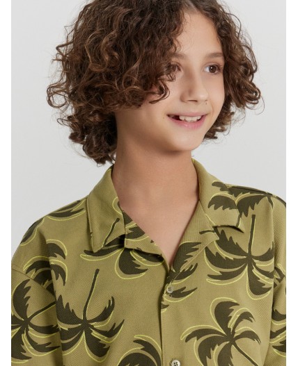 Рубашка пальмы на кедре