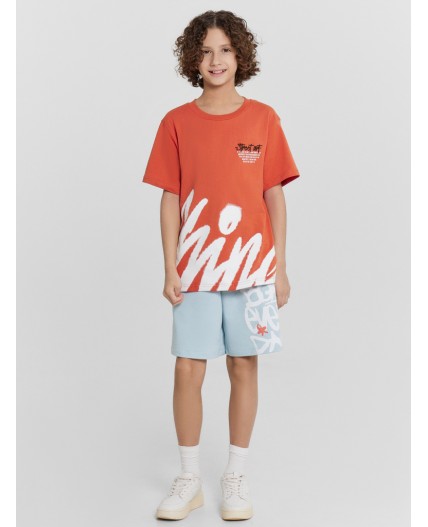 Шорты голубая дымка +печать