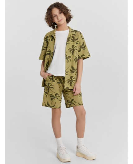 Шорты пальмы на кедре