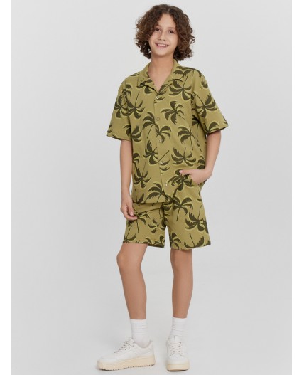 Шорты пальмы на кедре