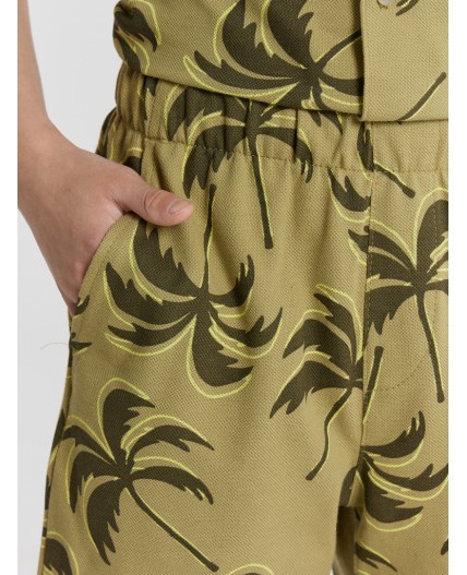 Шорты пальмы на кедре