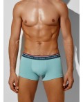 Трусы пыльная бирюза +геометрия на атлантике