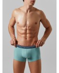 Трусы пыльная бирюза +геометрия на атлантике
