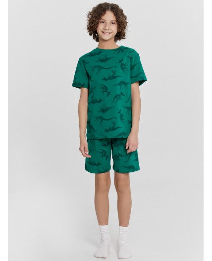 Комплект динозавры на зеленом