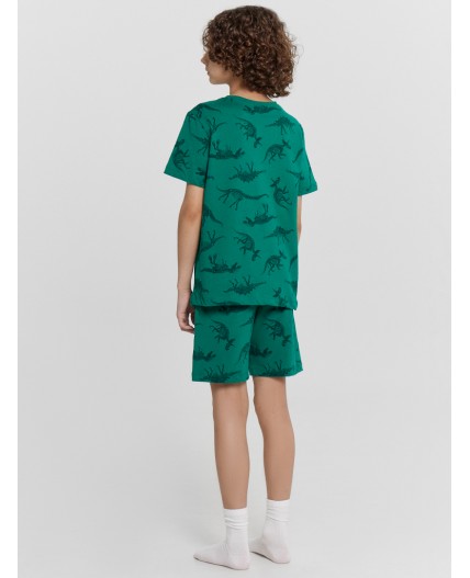 Комплект динозавры на зеленом