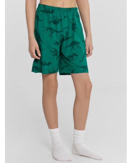 Комплект динозавры на зеленом