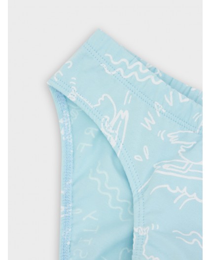 Трусы гуси на голубом