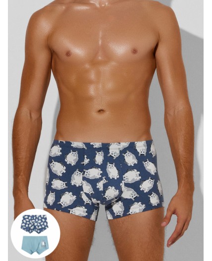 Трусы полынь +коты на шторме