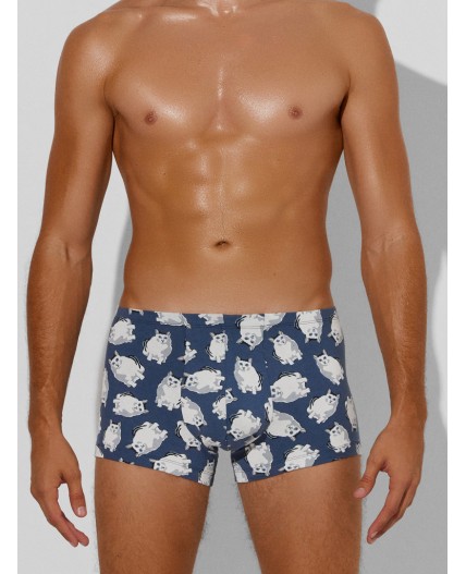 Трусы полынь +коты на шторме