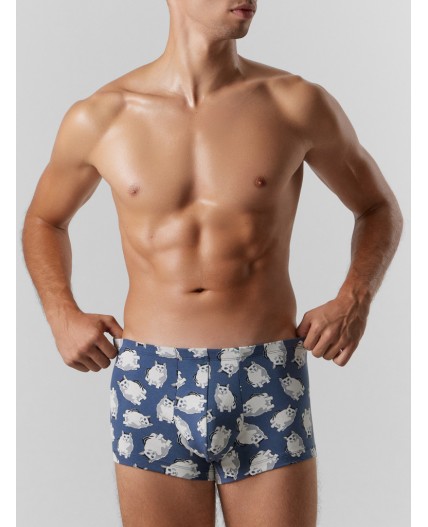 Трусы полынь +коты на шторме