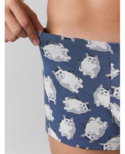 Трусы полынь +коты на шторме