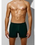 Трусы зеленый бархат1