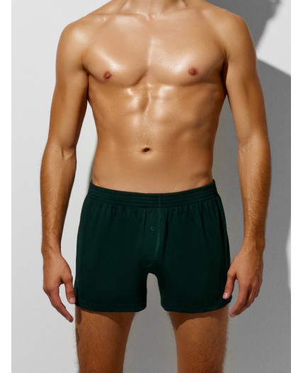 Трусы зеленый бархат1