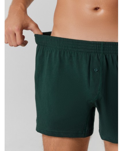 Трусы зеленый бархат1