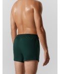 Трусы зеленый бархат1