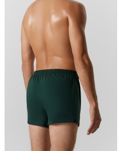 Трусы зеленый бархат1