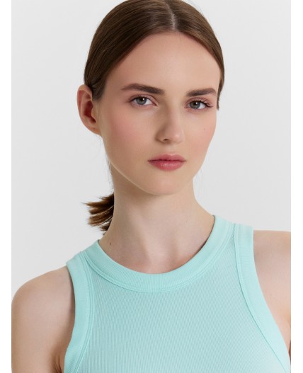 Топ небесный