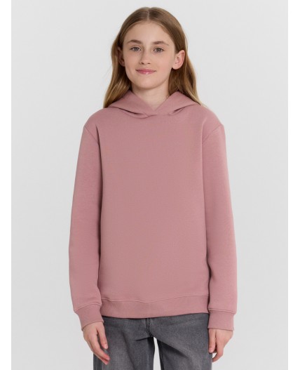 Худи пепел розы