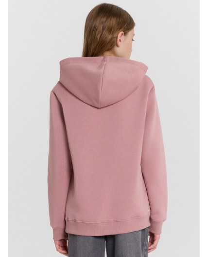 Худи пепел розы