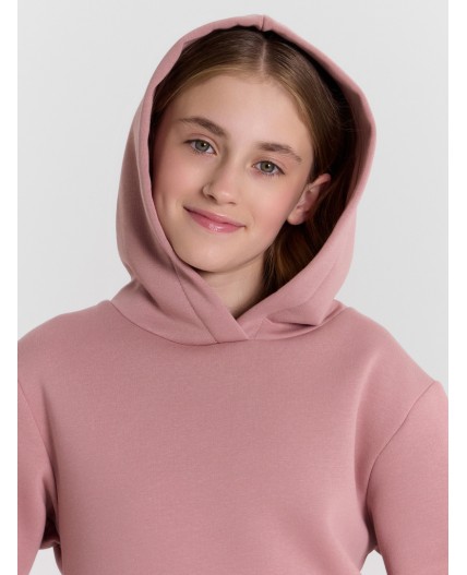 Худи пепел розы