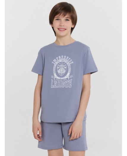 Комплект сизый +печать