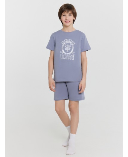 Комплект сизый +печать