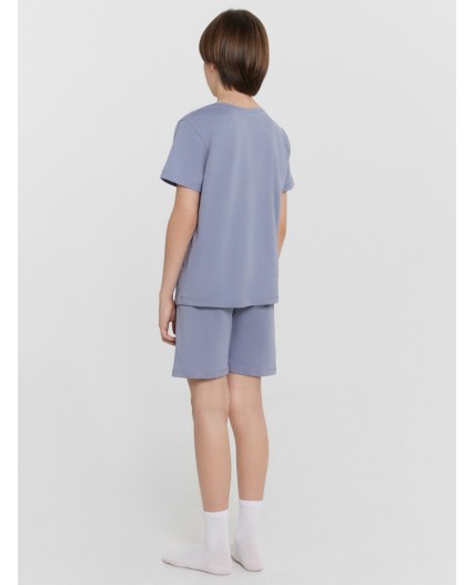 Комплект сизый +печать