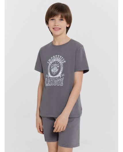 Комплект серый +печать