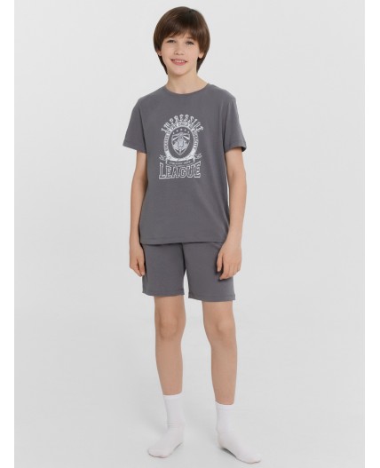 Комплект серый +печать