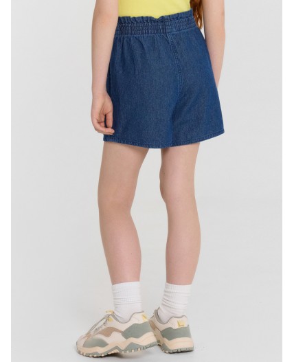 Шорты синий