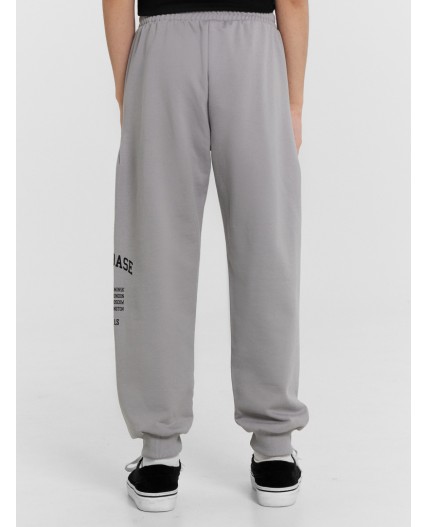 Брюки серый +печать1