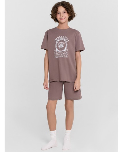 Комплект коричневый +печать