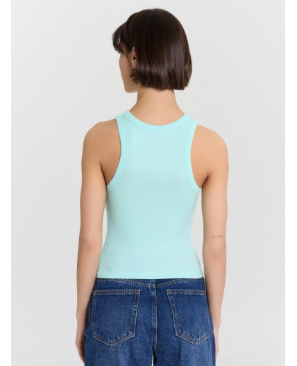 Топ небесный