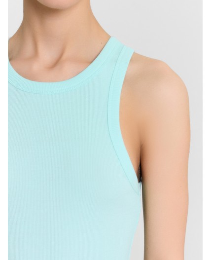 Топ небесный