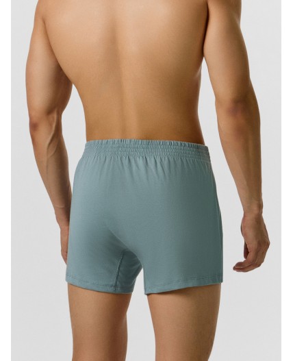 Трусы турмалин +печать