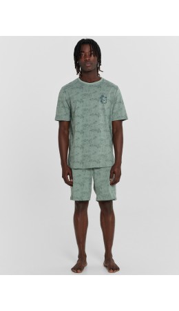 Комплект варка серая полынь +печать