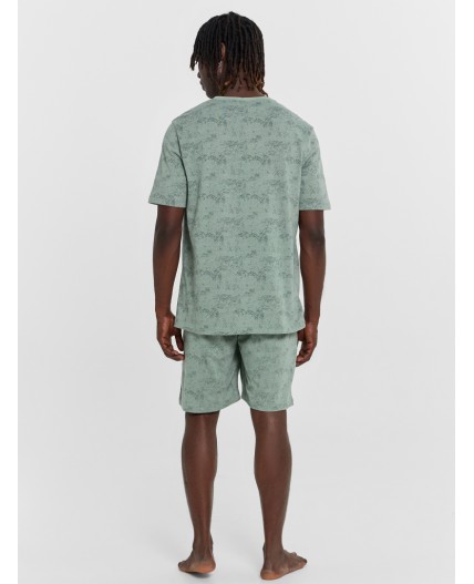 Комплект варка серая полынь +печать