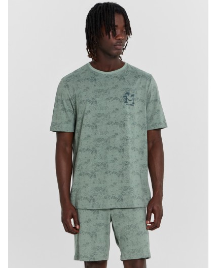 Комплект варка серая полынь +печать