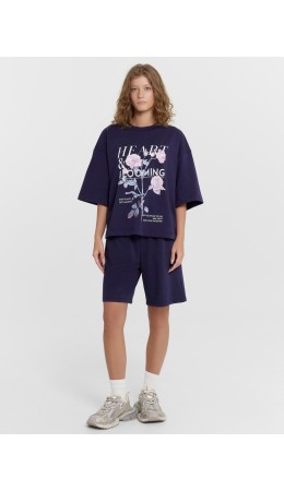 Комплект синее небо +печать